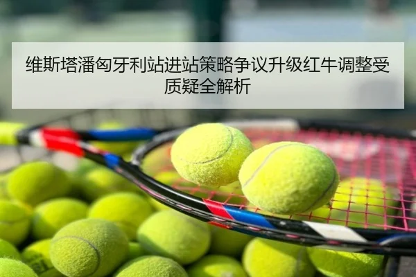 维斯塔潘匈牙利站进站策略争议升级红牛调整受质疑全解析